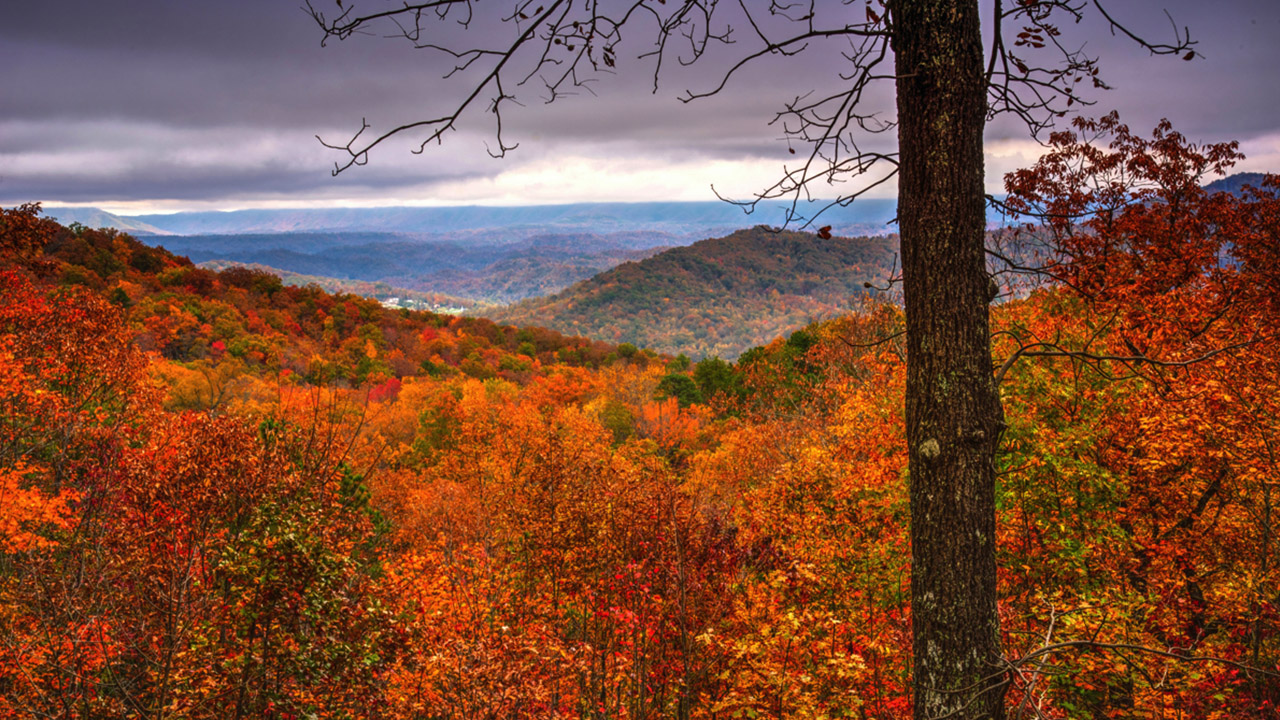 Timber and mountain landscape at Misty Mountain