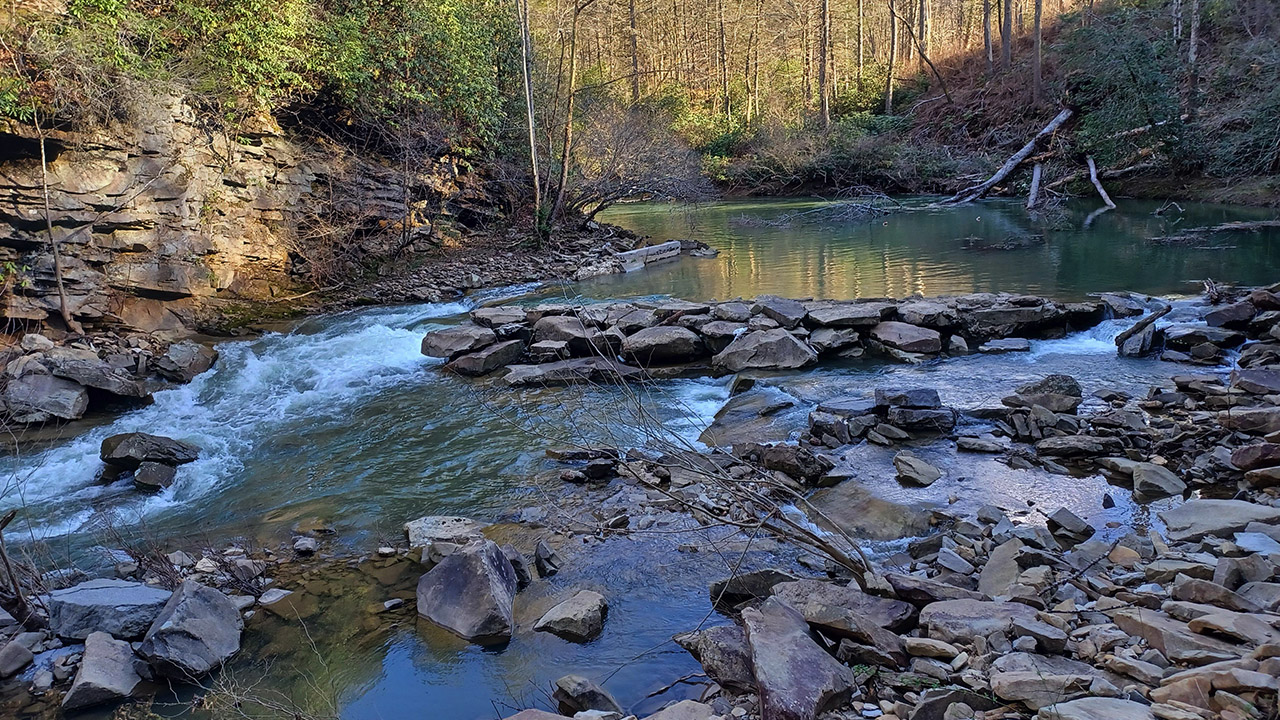 Kentucky property view highlighting scale and seclusion